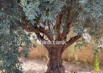 Foto 7 - Terreno edificabile via dell'iride, Siracusa - foto 7