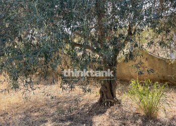 Foto 8 - Terreno edificabile via dell'iride, Siracusa - foto 8