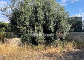 Foto 9 - Terreno edificabile via dell'iride, Siracusa - foto 9