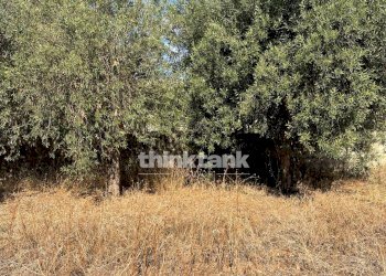 Foto 10 - Terreno edificabile via dell'iride, Siracusa - foto 10