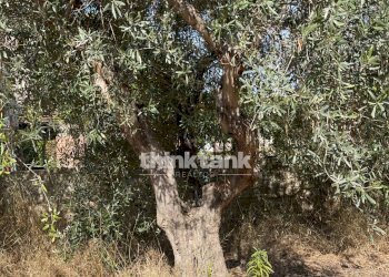 Foto 11 - Terreno edificabile via dell'iride, Siracusa - foto 11