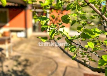 Foto 15 - Villa Grotta dell' Acqua, Centuripe - foto 15