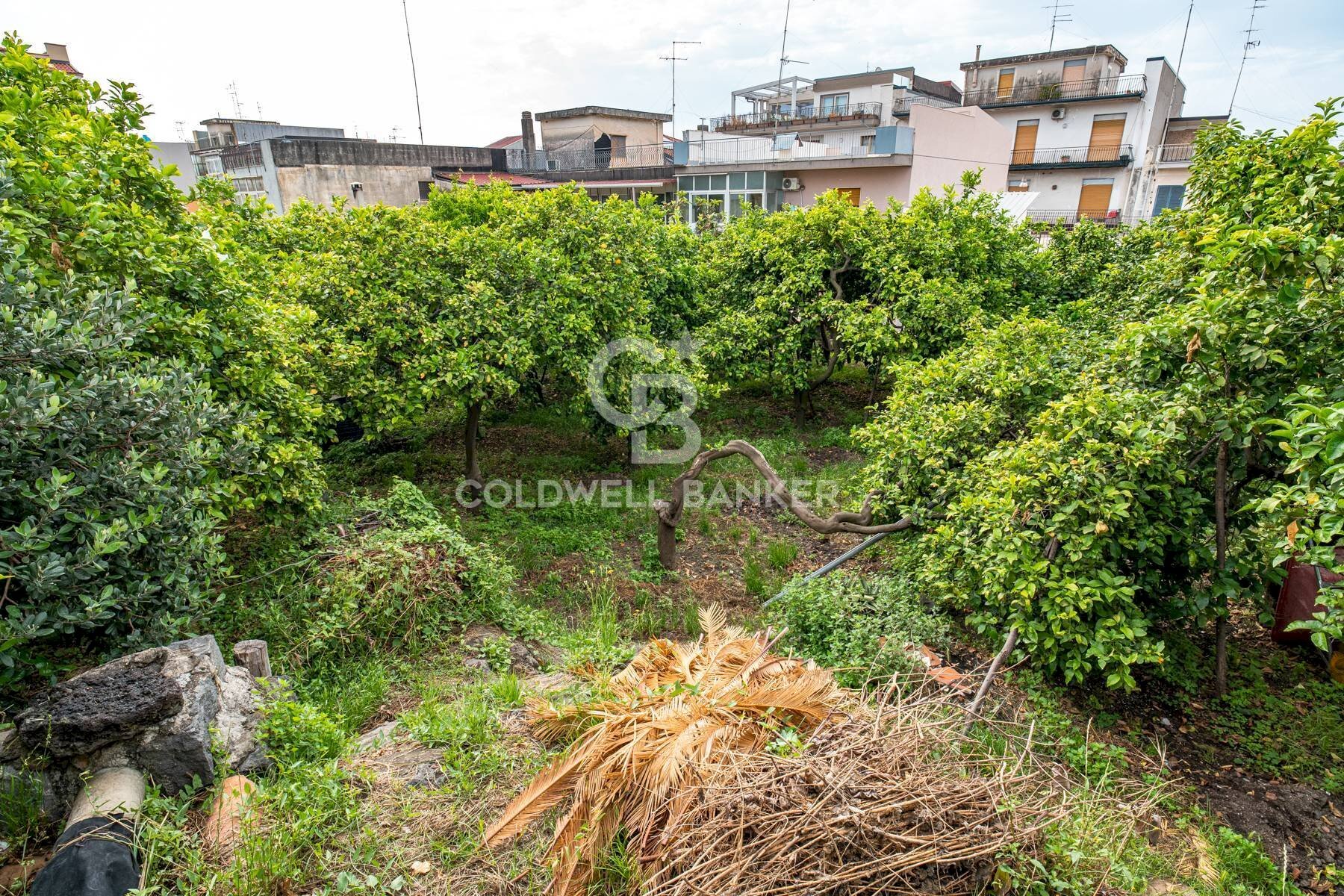 Foto 3 - Villa Via Vitt Emanuele III
 
204, Acireale - foto 3