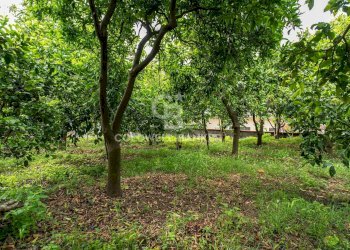 Foto 4 - Villa Via Vitt Emanuele III
 
204, Acireale - foto 4