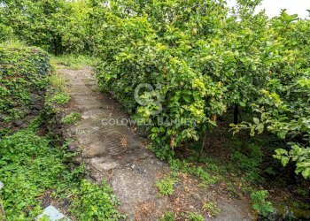 Foto 10 - Villa Via Vitt Emanuele III
 
204, Acireale - foto 10