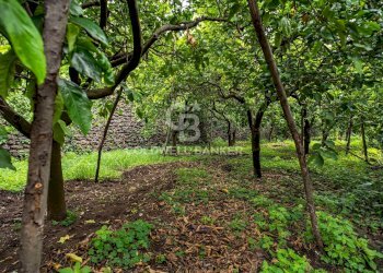 Foto 11 - Villa Via Vitt Emanuele III
 
204, Acireale - foto 11