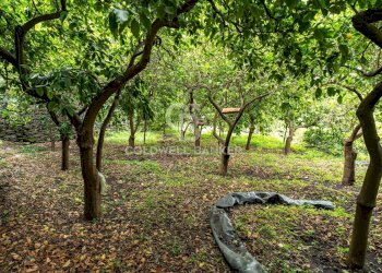 Foto 16 - Villa Via Vitt Emanuele III
 
204, Acireale - foto 16