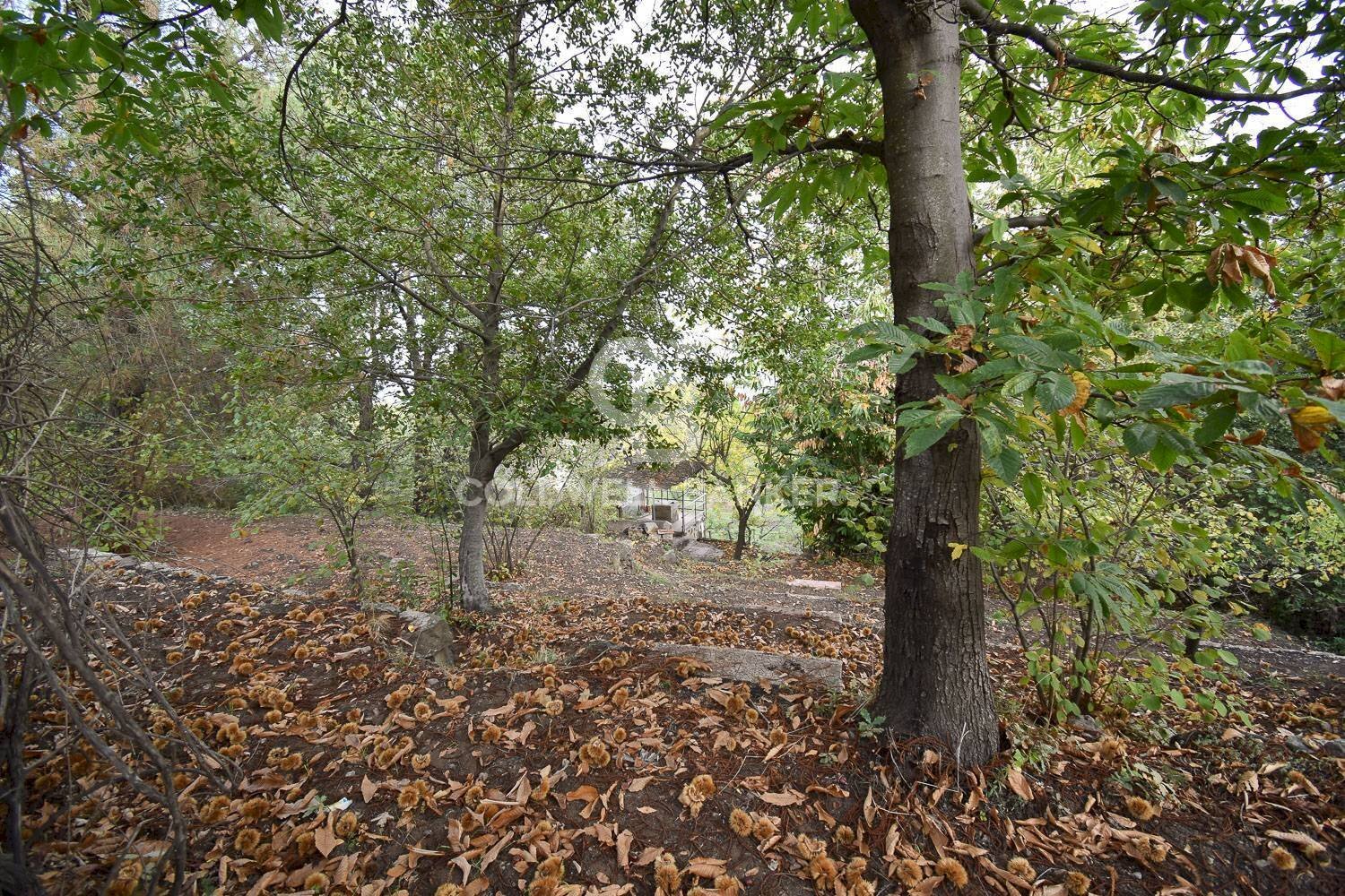 Foto 2 - Terreno agricolo SP Fornazzo Linguaglossa, Piedimonte Etneo - foto 2