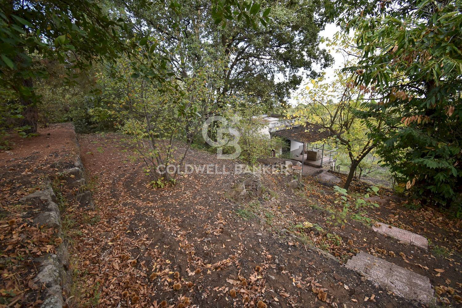 Foto 3 - Terreno agricolo SP Fornazzo Linguaglossa, Piedimonte Etneo - foto 3