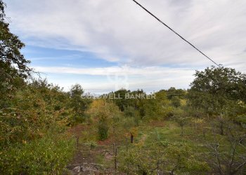 Foto 1 - Terreno agricolo SP Fornazzo Linguaglossa, Piedimonte Etneo - foto 1