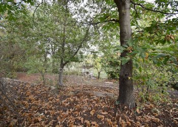 Foto 2 - Terreno agricolo SP Fornazzo Linguaglossa, Piedimonte Etneo - foto 2