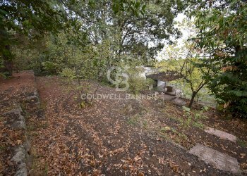 Foto 3 - Terreno agricolo SP Fornazzo Linguaglossa, Piedimonte Etneo - foto 3