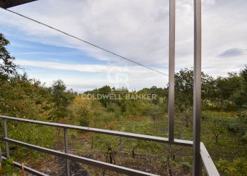 Foto 7 - Terreno agricolo SP Fornazzo Linguaglossa, Piedimonte Etneo - foto 7