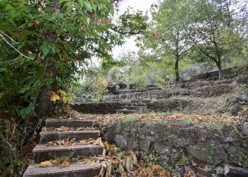 Foto 9 - Terreno agricolo SP Fornazzo Linguaglossa, Piedimonte Etneo - foto 9