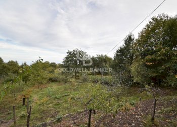 Foto 14 - Terreno agricolo SP Fornazzo Linguaglossa, Piedimonte Etneo - foto 14