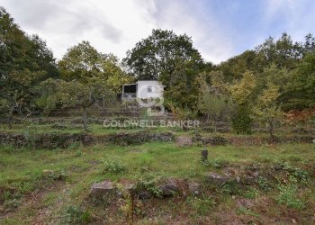 Foto 15 - Terreno agricolo SP Fornazzo Linguaglossa, Piedimonte Etneo - foto 15