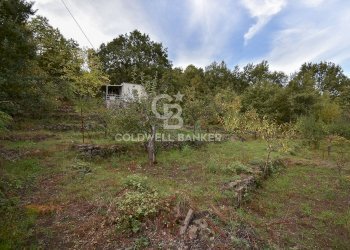 Foto 16 - Terreno agricolo SP Fornazzo Linguaglossa, Piedimonte Etneo - foto 16