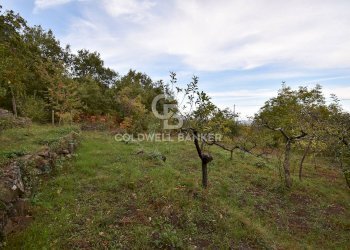 Foto 17 - Terreno agricolo SP Fornazzo Linguaglossa, Piedimonte Etneo - foto 17