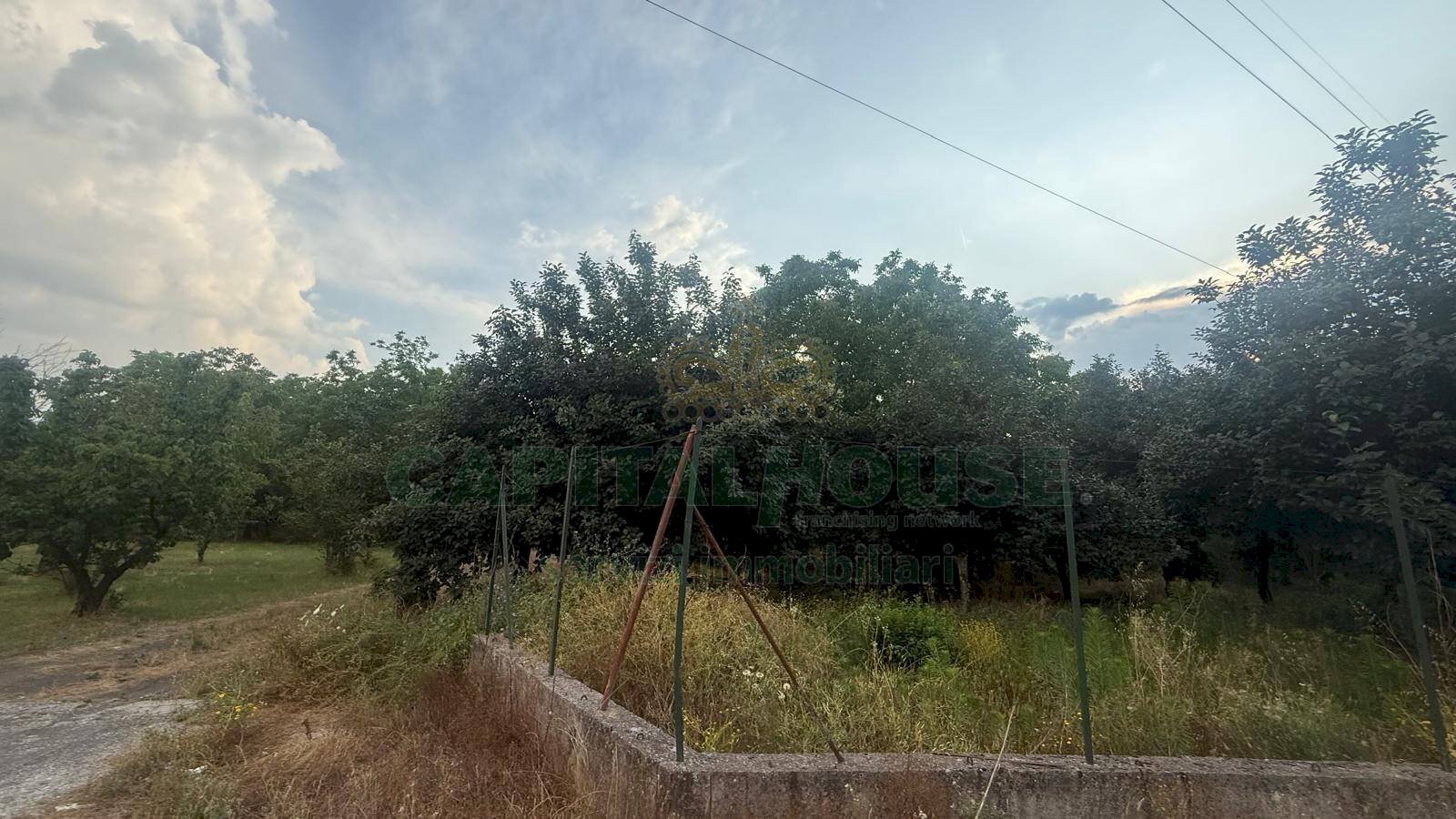 Foto 3 - Terreno agricolo Scisciano, Scisciano - foto 3