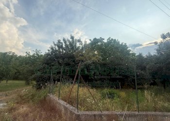 Foto 3 - Terreno agricolo Scisciano, Scisciano - foto 3