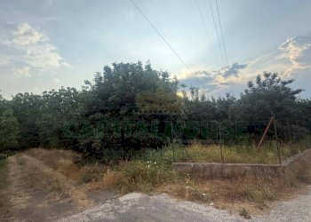 Foto 4 - Terreno agricolo Scisciano, Scisciano - foto 4