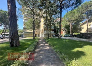 Foto 1 - Trilocale viale romagna
 
79, Cervia - foto 1