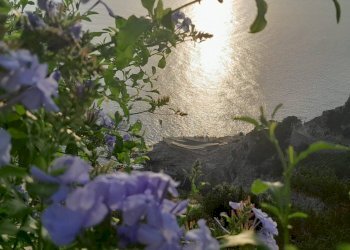 Foto 8 - Appartamento Località Cala Moresca
 
snc, Monte Argentario - foto 8