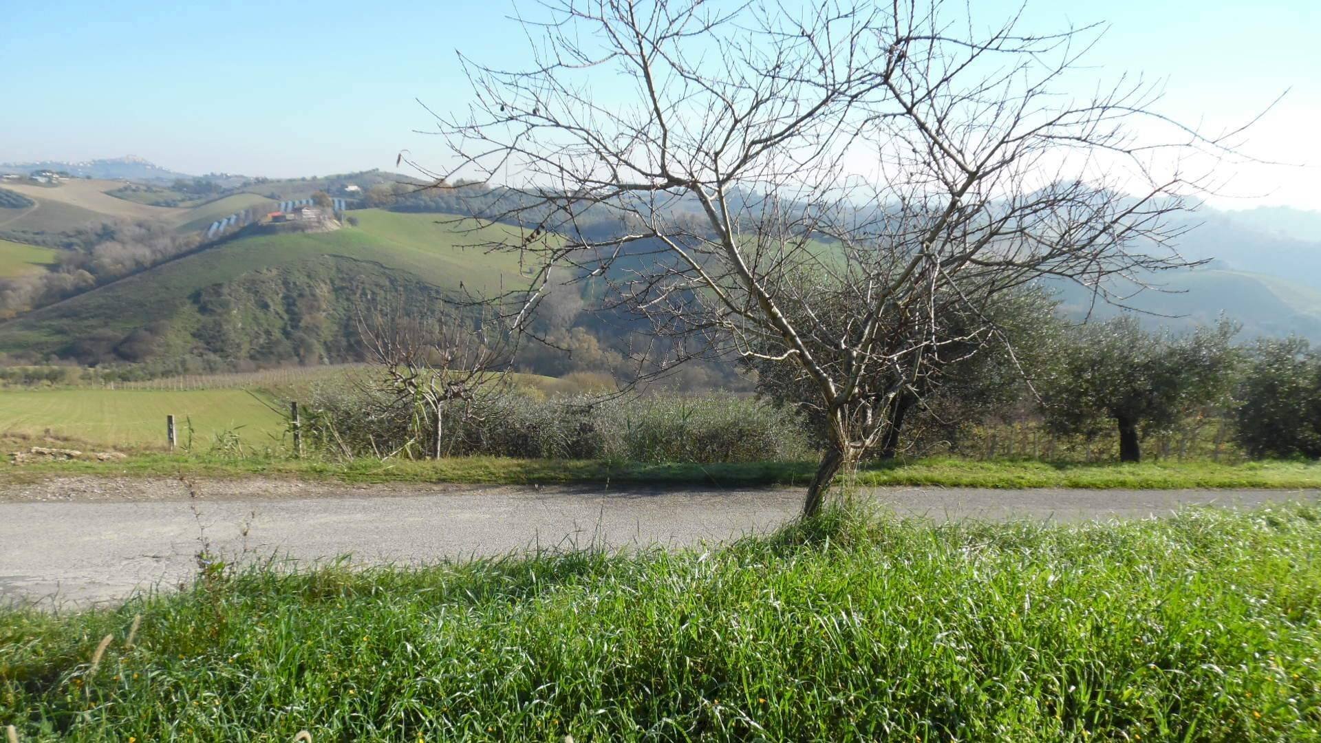 Foto 1 - Terreno agricolo Via Colle Appeso, Monteprandone - foto 1