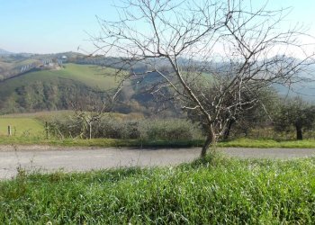 Foto 1 - Terreno agricolo Via Colle Appeso, Monteprandone - foto 1