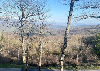 Foto 7 - Villa via Pian D'Arno
 
347, Caprese Michelangelo - foto 7