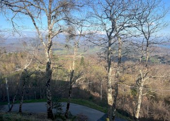 Foto 18 - Villa via Pian D'Arno
 
347, Caprese Michelangelo - foto 18