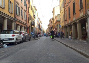 Negozio Bologna - foto 4