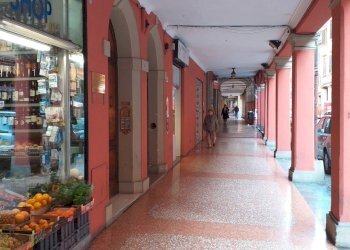 Negozio Bologna - foto 7
