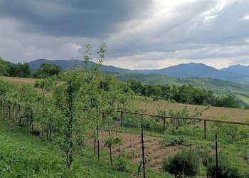 Rustico Via Roda 7, Camugnano - foto 7