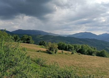 Rustico Via Roda 7, Camugnano - foto 22