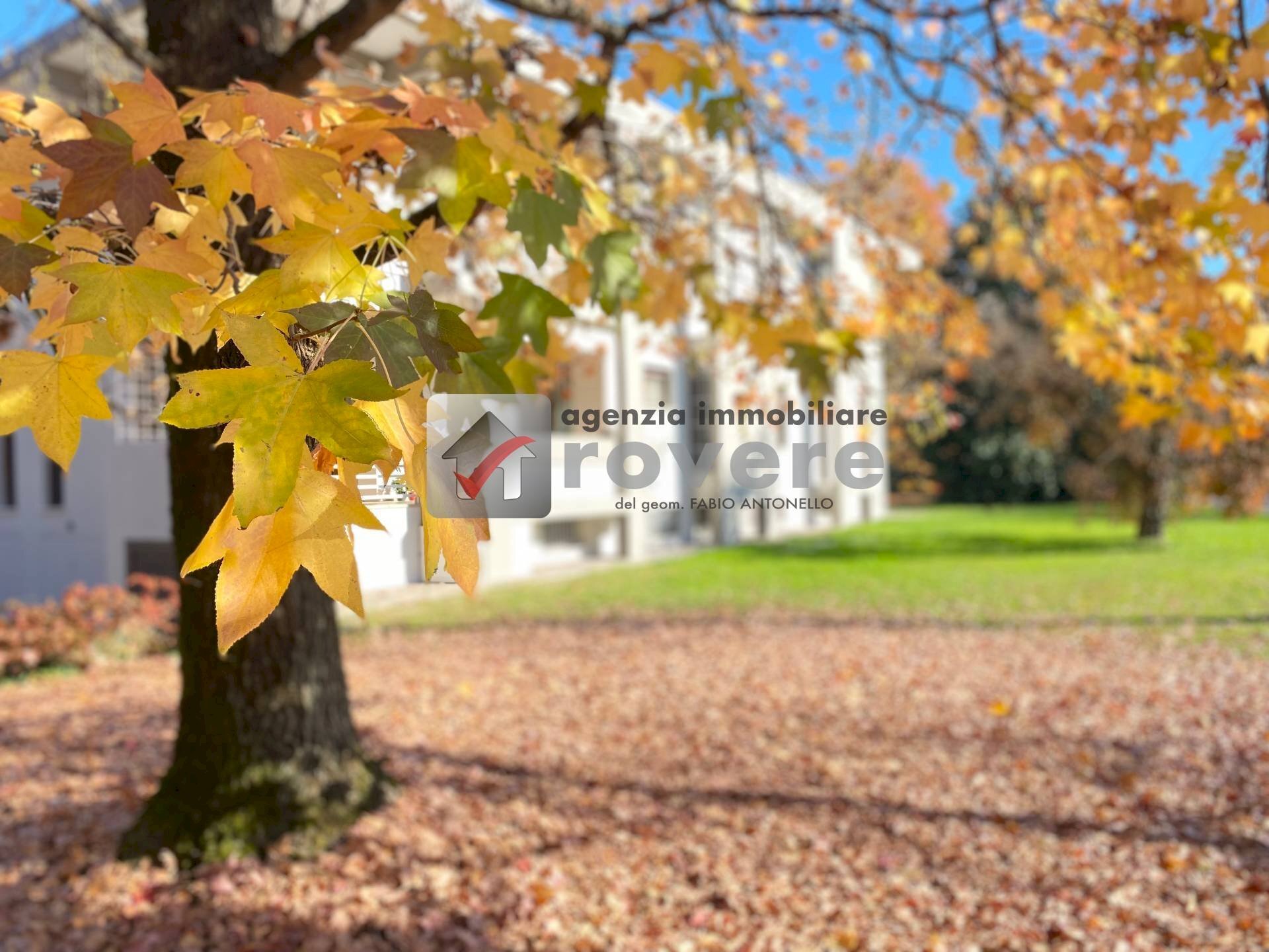 Foto 1 - Appartamento Treviso - foto 1