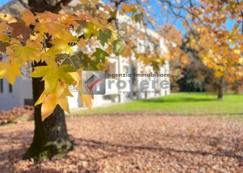 Foto 1 - Appartamento Treviso - foto 1