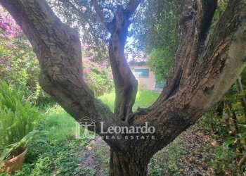 Foto 38 - Casa indipendente via mameli, Viareggio - foto 36