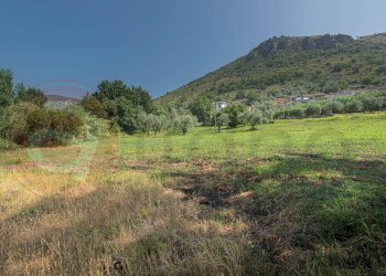 Foto 85 - Casa indipendente Via Montello
 
2, Roccasecca - foto 85