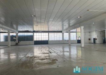 Foto 12 - Capannone via greppi, Cologno Monzese - foto 12