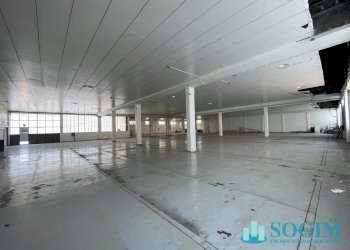 Foto 13 - Capannone via greppi, Cologno Monzese - foto 13