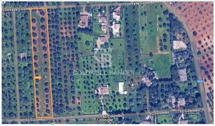 Foto 1 - Agricultural land Contrada Colombo
 
snc, Carovigno - photo 1