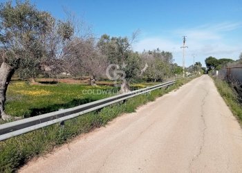 Foto 4 - Terreno agricolo Contrada Colombo
snc, Carovigno - foto 4