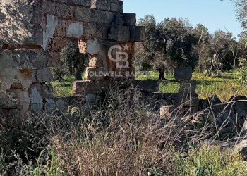 Foto 5 - Terreno agricolo Contrada Colombo
snc, Carovigno - foto 5