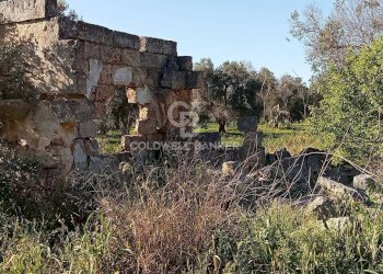 Foto 6 - Terreno agricolo Contrada Colombo
snc, Carovigno - foto 6