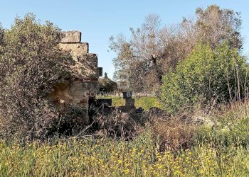 Foto 7 - Terreno agricolo Contrada Colombo
snc, Carovigno - foto 7