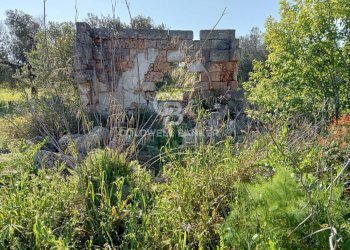 Foto 9 - Terreno agricolo Contrada Colombo
snc, Carovigno - foto 9