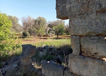 Foto 10 - Terreno agricolo Contrada Colombo
snc, Carovigno - foto 10