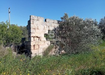 Foto 11 - Terreno agricolo Contrada Colombo
snc, Carovigno - foto 11