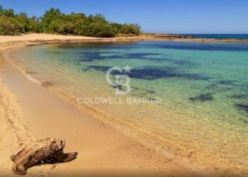 Foto 16 - Terreno agricolo Contrada Colombo
snc, Carovigno - foto 16